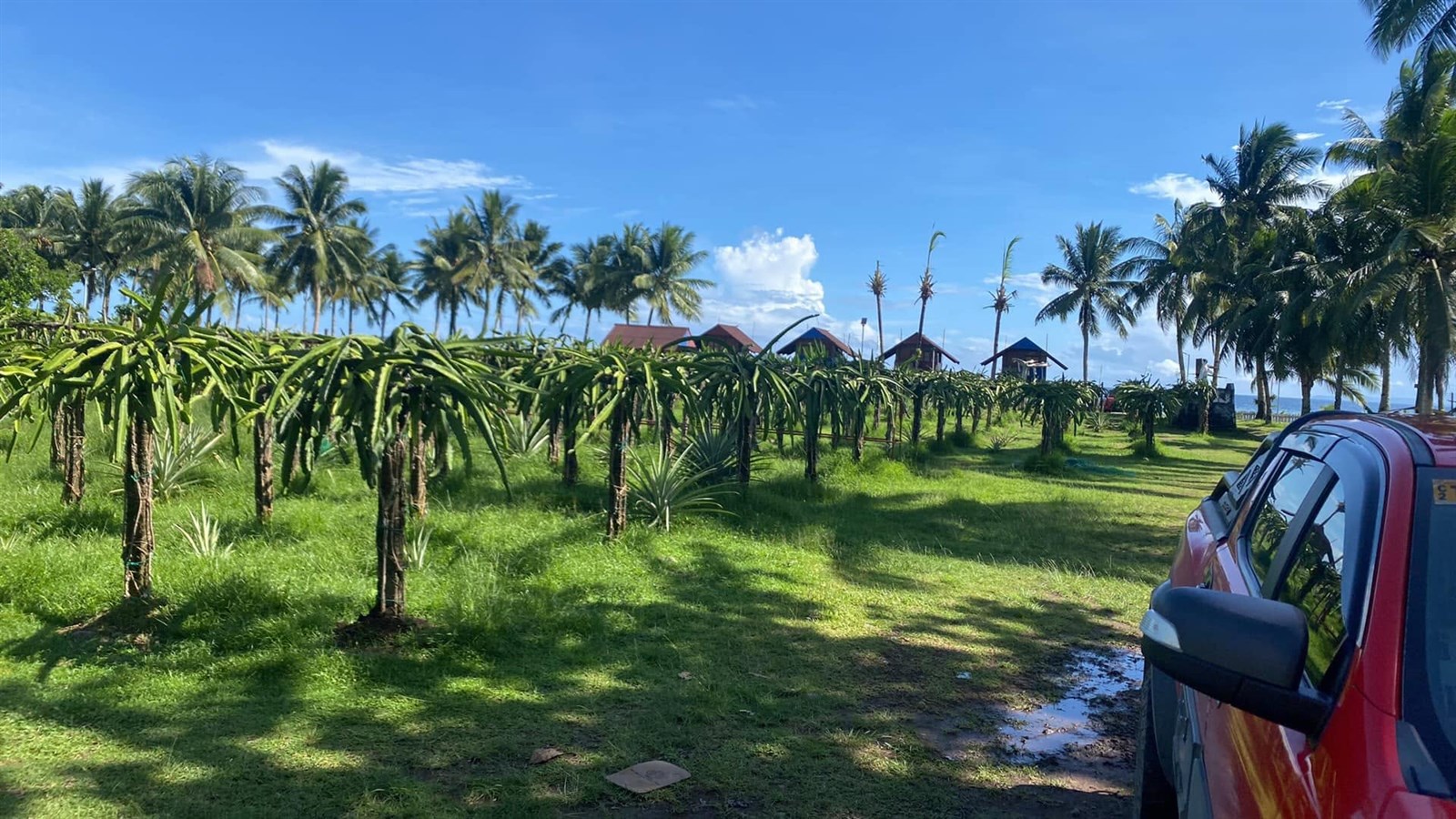 Kalinao Beach Hotel, Resort and Farm website